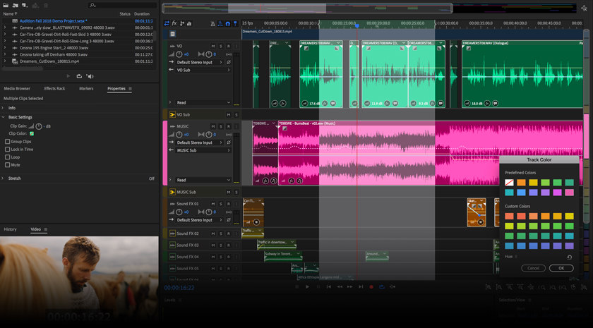 A screenshot of the digital voice recording software, Adobe Audition.