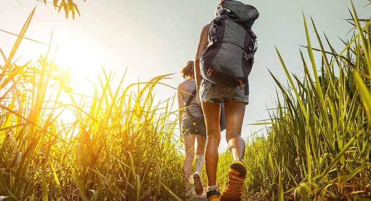 A man and a woman backpacking through tall grass and brush.