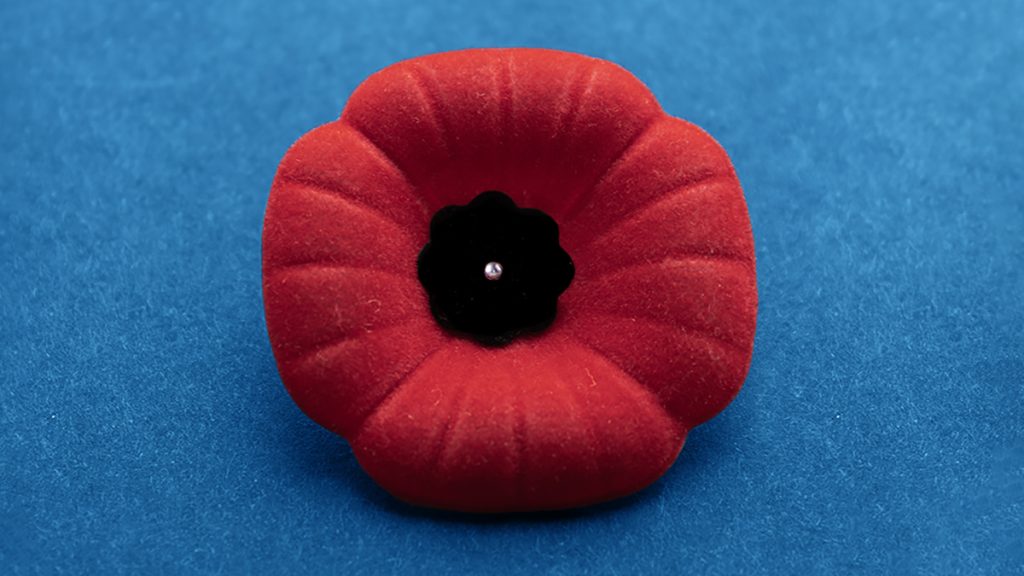 A traditional red Remembrance Day poppy sits against a blue background.